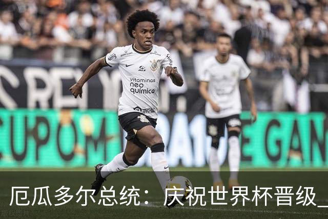 厄瓜多尔总统：庆祝世界杯晋级 全国放假一天